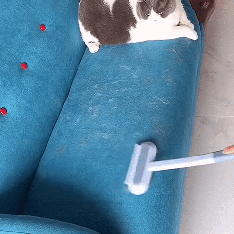 3-w-1 Usuwacz Włosów Zwierzęcych - PetClean Pro-Trend Polska