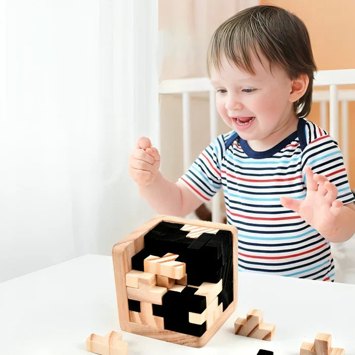 3D Drewniana Łamigłówka - PuzzleMaster-Trend Polska