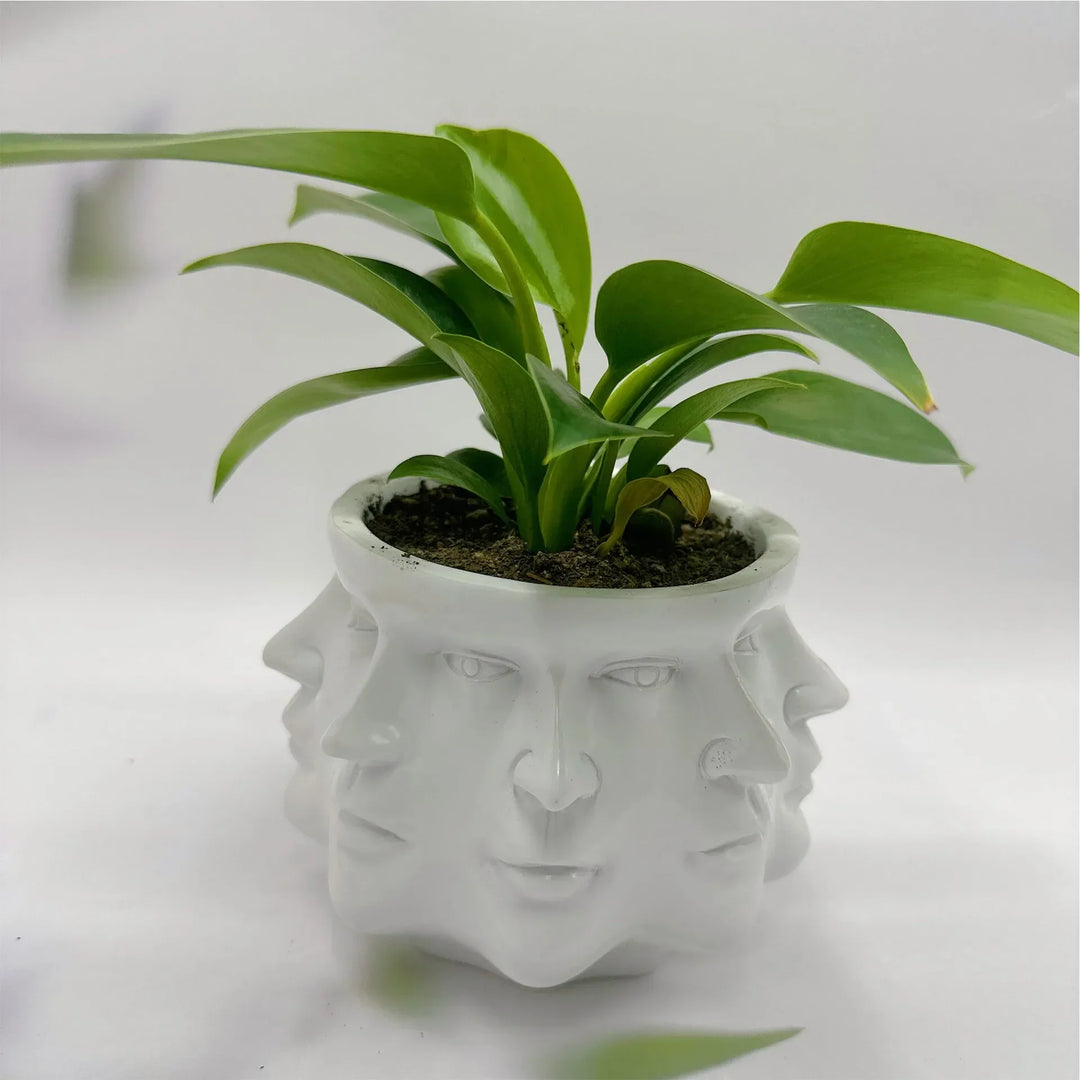 3D Twarz Doniczka - FaceBloom-Biały-Trend Polska
