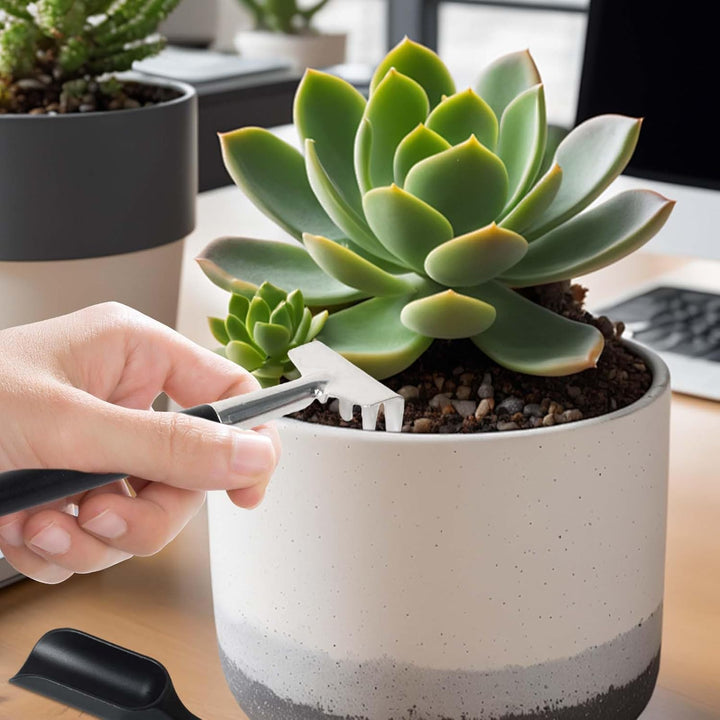 Zestaw narzędzi do sukulentów 12 w 1 z torbą do przechowywania do uprawy roślin w pomieszczeniach