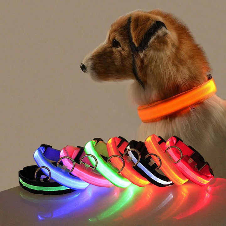 Obroża dla psa z oświetleniem LED - GlowCollar
