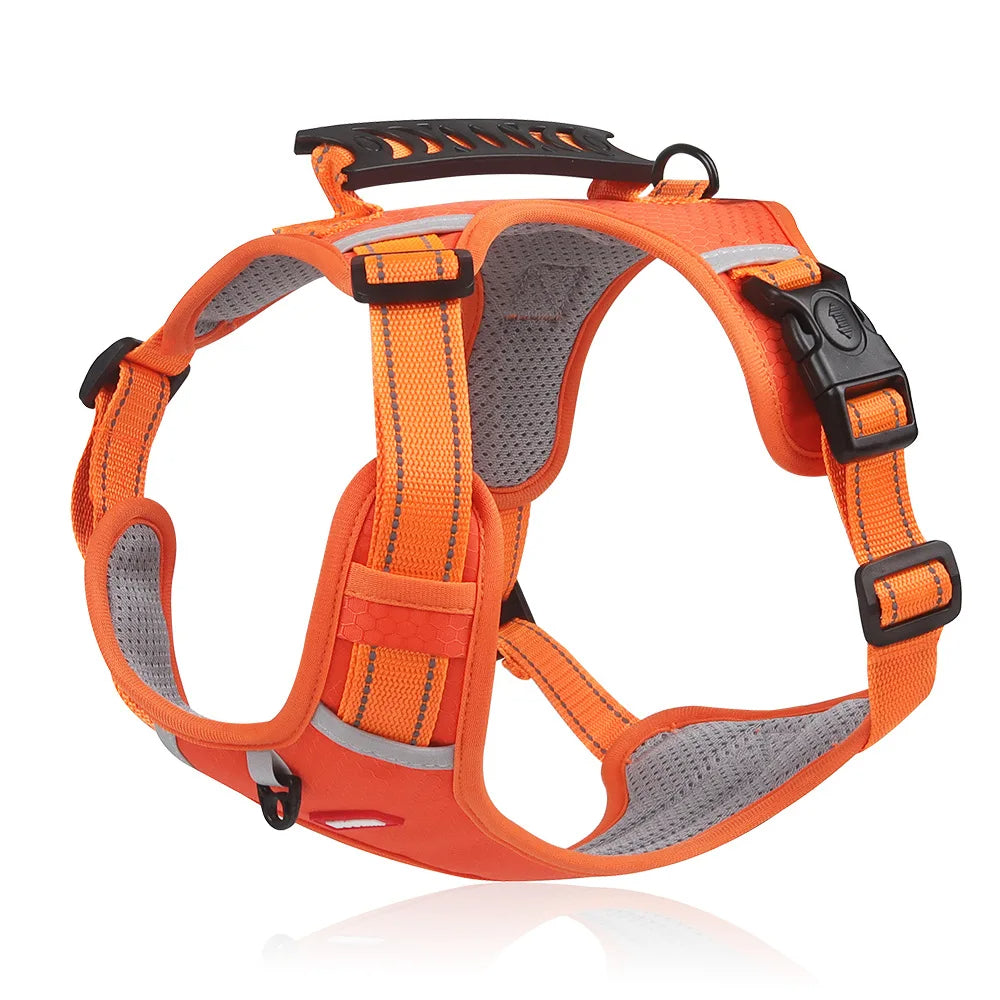 Anti-Trek Szelki dla psów - FlexiFit-Pomarańczowy-XS (2,5-5 KG)-Trend Polska