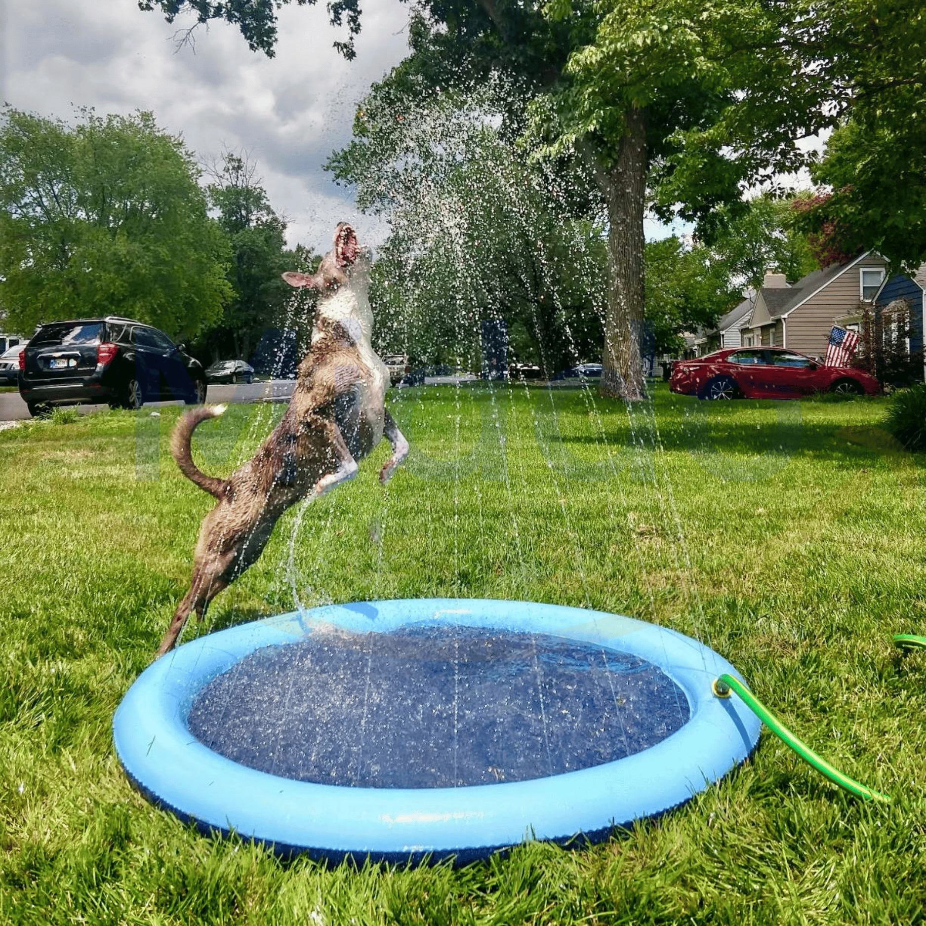 Brodzik z wodnymi strumieniami – SplashZone-Trend Polska