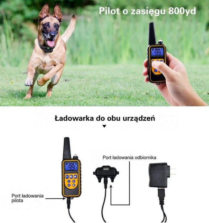 Pies biegnący po trawie w obroży, dłoń z pilotem oraz schemat ładowania pilota i odbiornika zasilaczem 5