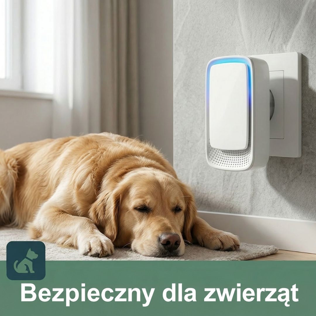 Jonizator włożony do gniazdka na ścianie, obok śpi na dywaniku złocisty pies 2