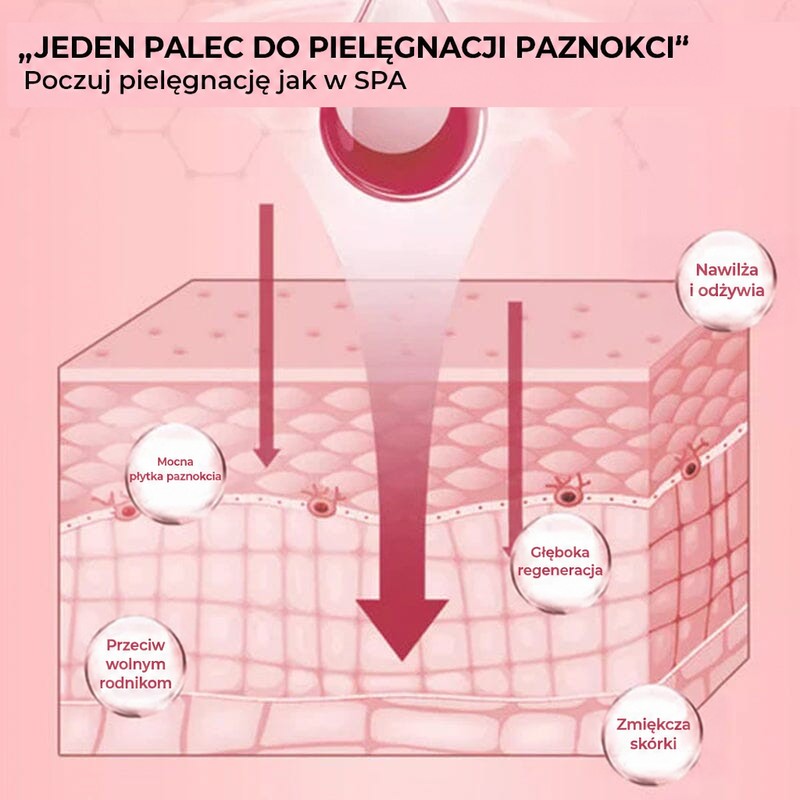 Różowy schemat przekroju skóry pokazujący, jak olejek wnika w głąb i pielęgnuje płytkę paznokcia 7