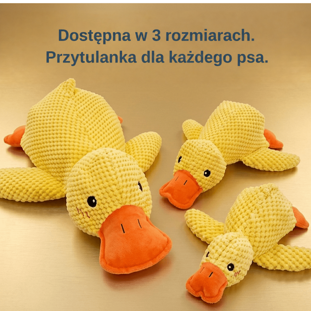 Trzy żółte pluszowe kaczki w różnych rozmiarach leżą obok siebie na złotym tle 4