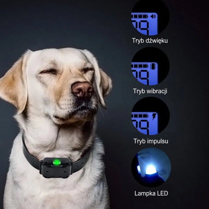 Labrador z zamkniętymi oczami w obroży z zieloną diodą, obok ekrany trybów dźwięku, wibracji, impulsu i latarki 9
