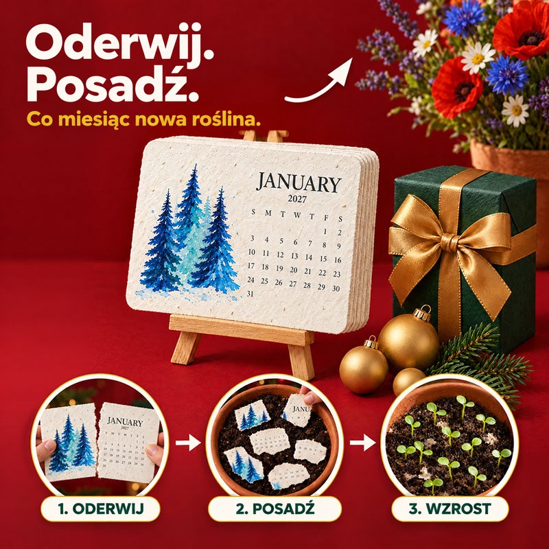 Infografika: kalendarz styczniowy z niebieskimi choinkami, obok prezent i bombki, a niżej trzy kroki od darcia kartki do 1