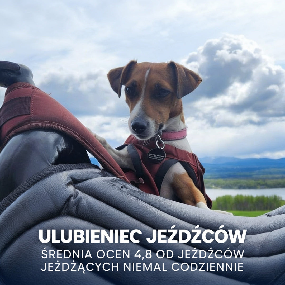 Pies w czerwonej kamizelce wspina się na siodło z szarą pikowaną nakładką na tle krajobrazu 7