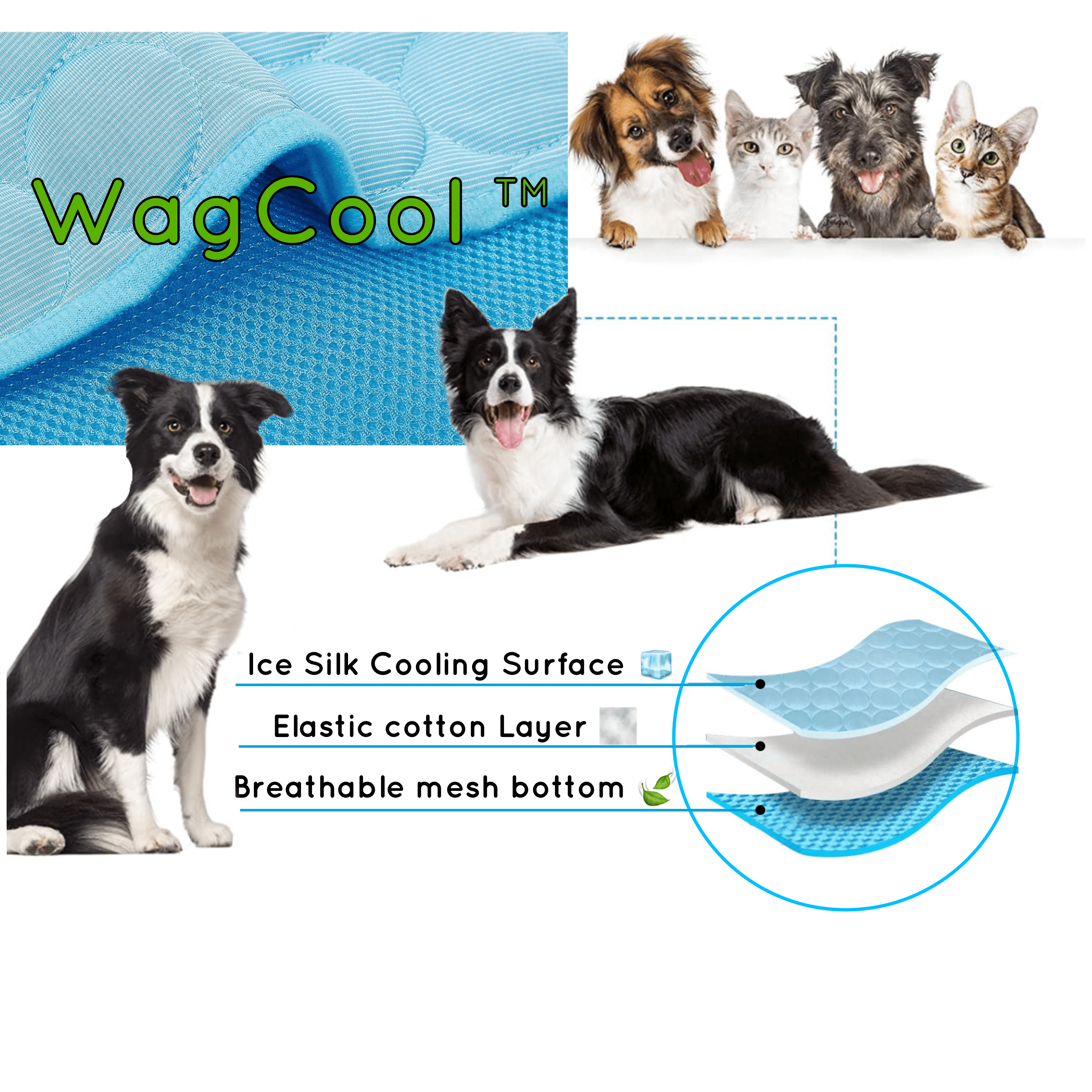 Chłodząca Mata dla Psów - Mata CoolPet-XS 40x30cm-Niebieski-Trend Polska
