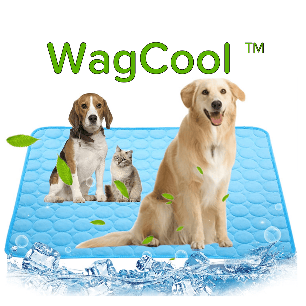 Chłodząca Mata dla Psów - Mata CoolPet-XS 40x30cm-Niebieski-Trend Polska