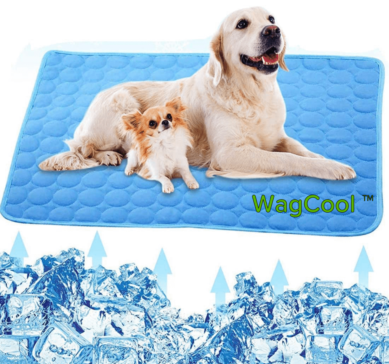 Chłodząca Mata dla Psów - Mata CoolPet-XS 40x30cm-Niebieski-Trend Polska