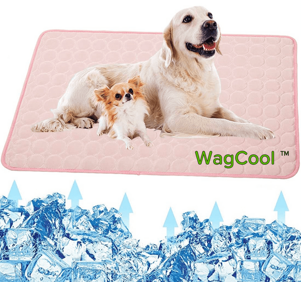 Chłodząca Mata dla Psów - Mata CoolPet-XS 40x30cm-Różowy-Trend Polska