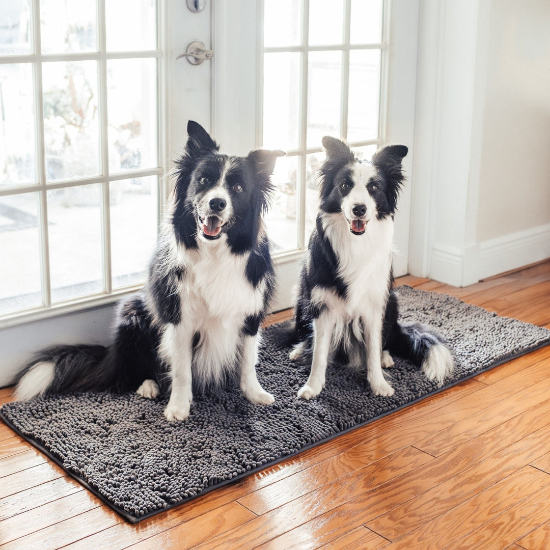Dwa border collie siedzą na szarej macie na drewnianej podłodze przed przeszklonymi drzwiami. 10
