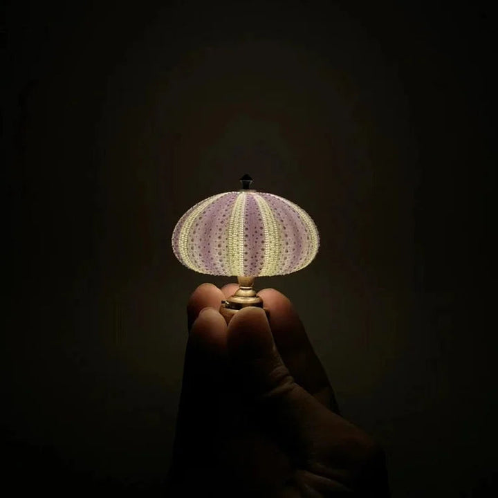 DIY lampka nocna jeżowiec - LumiUrchin-Trend Polska