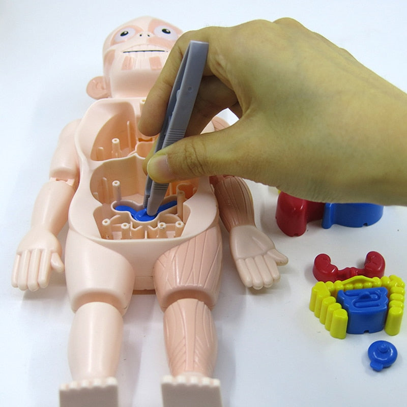 Edukacyjny zestaw anatomiczny dla dzieci – Dr Bones-Trend Polska
