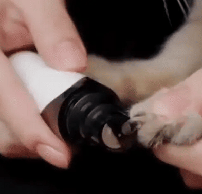 Elektroniczna piła do paznokci dla psów – PawTrim-Trend Polska