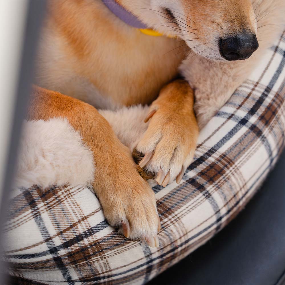 Futro fotel samochodowy dla zwierząt – RideSafe CozySeat-Khaki-Singiel-Trend Polska