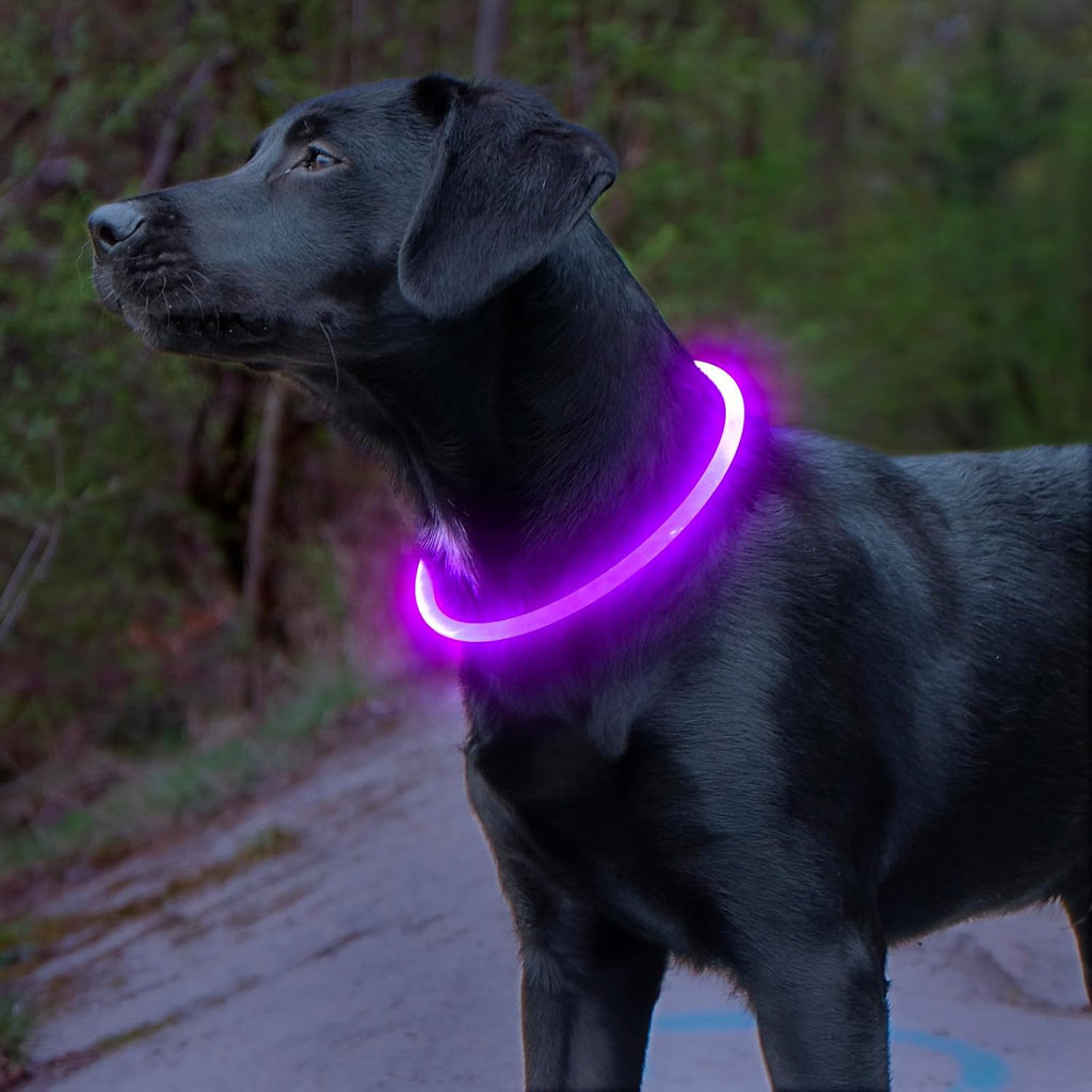 GlowSafe LED Obroża dla psów – Ładowalne światło bezpieczeństwa USB-Fioletowy-Trend Polska