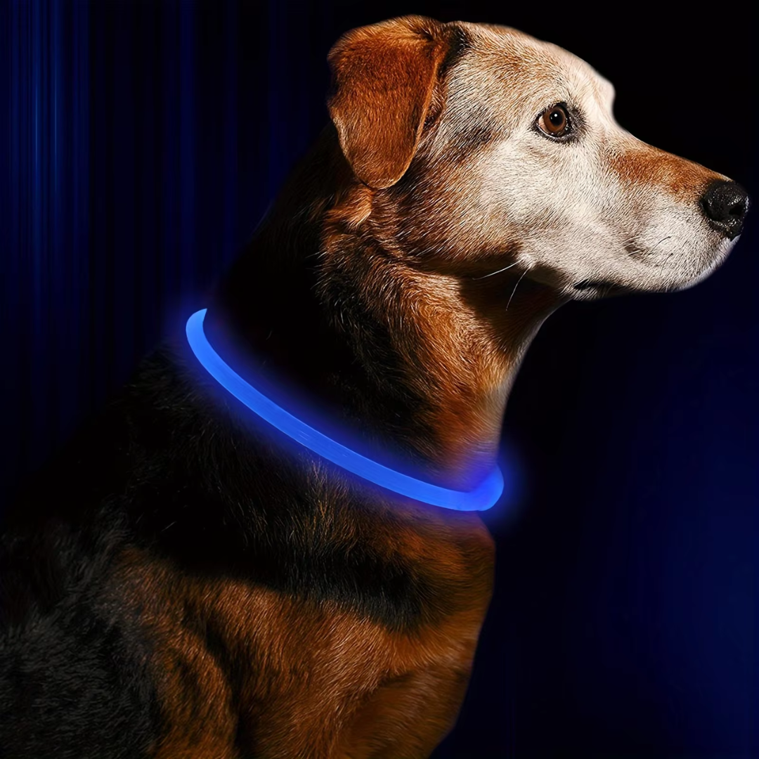 GlowSafe LED Obroża dla psów – Ładowalne światło bezpieczeństwa USB-Niebieski-Trend Polska