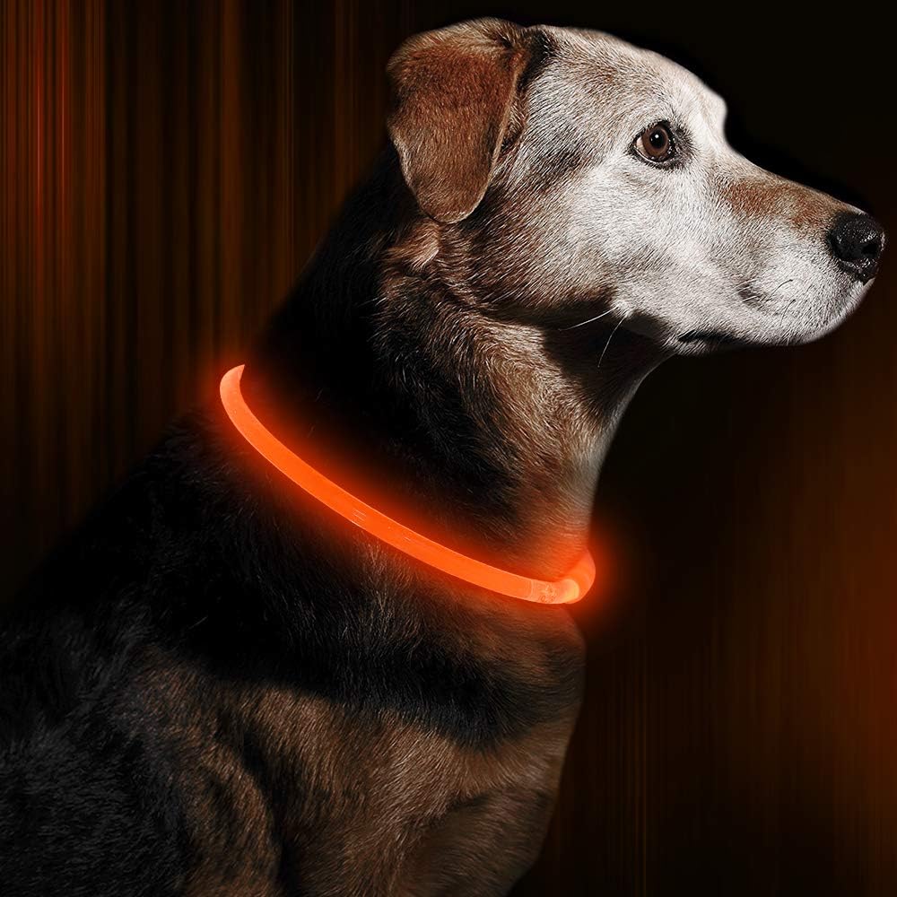 GlowSafe LED Obroża dla psów – Ładowalne światło bezpieczeństwa USB-Pomarańczowy-Trend Polska