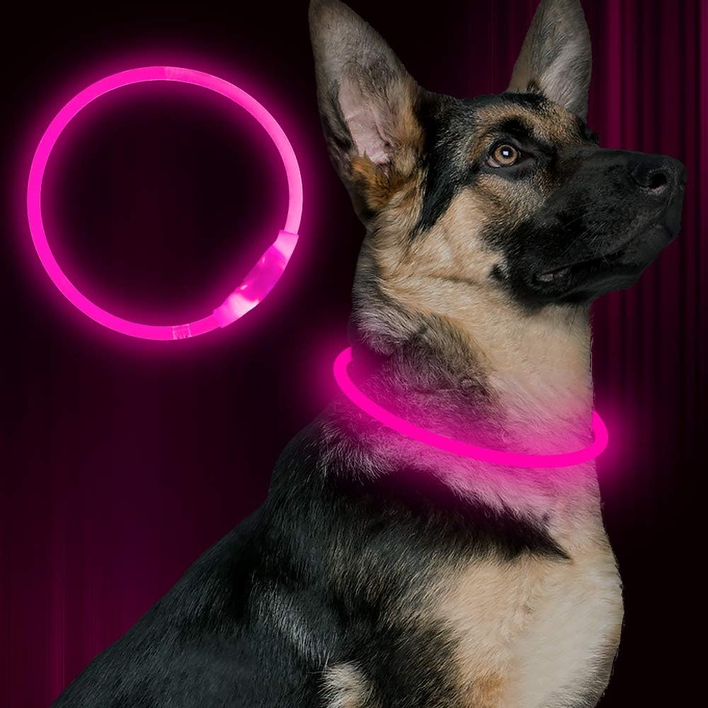 GlowSafe LED Obroża dla psów – Ładowalne światło bezpieczeństwa USB-Różowy-Trend Polska