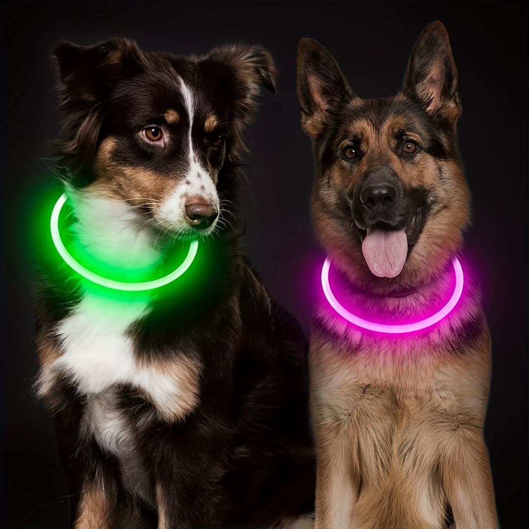 GlowSafe LED Obroża dla psów – Ładowalne światło bezpieczeństwa USB-Różowy-Trend Polska