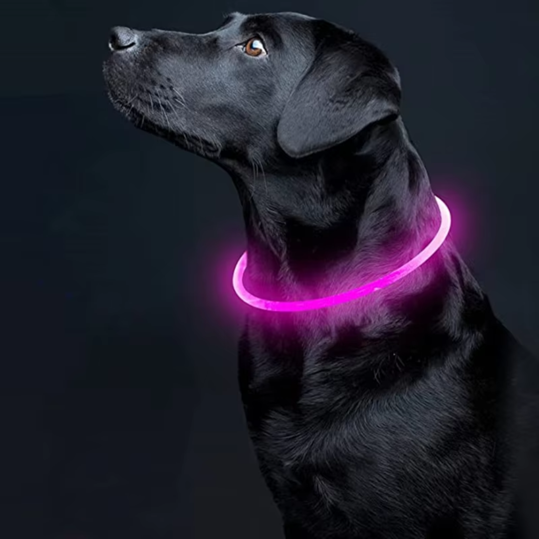 GlowSafe LED Obroża dla psów – Ładowalne światło bezpieczeństwa USB-Różowy-Trend Polska