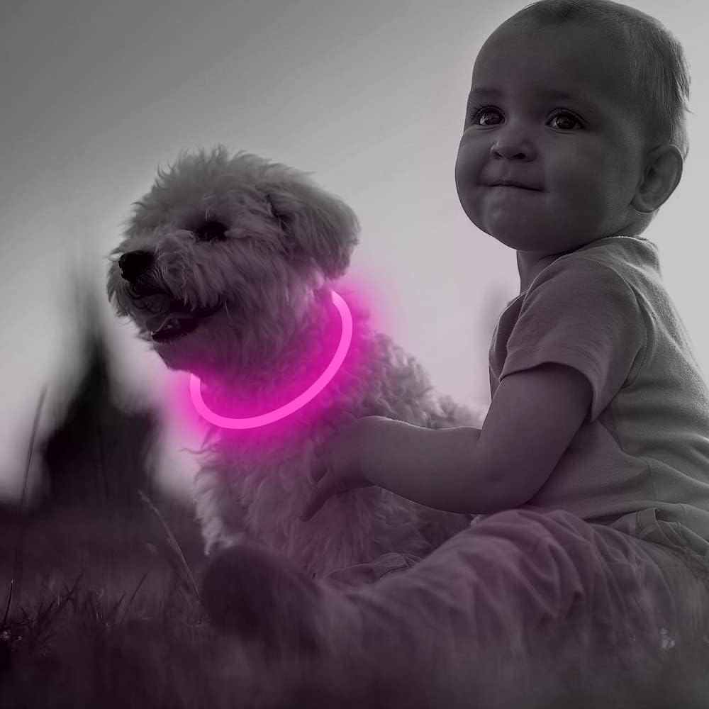 GlowSafe LED Obroża dla psów – Ładowalne światło bezpieczeństwa USB-Różowy-Trend Polska