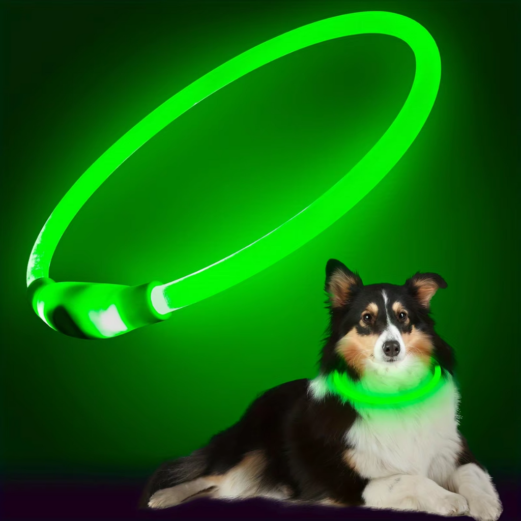 GlowSafe LED Obroża dla psów – Ładowalne światło bezpieczeństwa USB-Zielony-Trend Polska