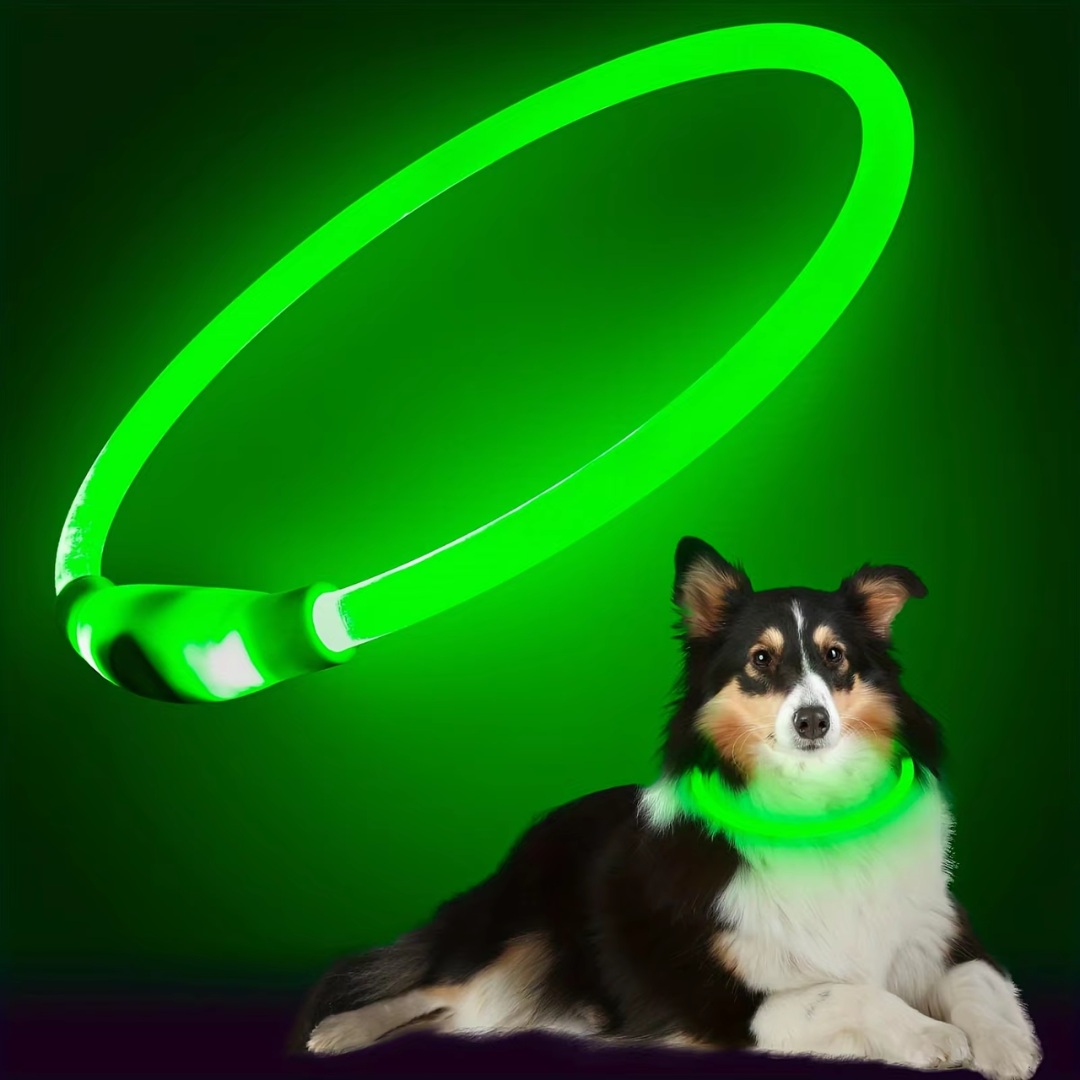 GlowSafe LED Obroża dla psów – Ładowalne światło bezpieczeństwa USB-Zielony-Trend Polska