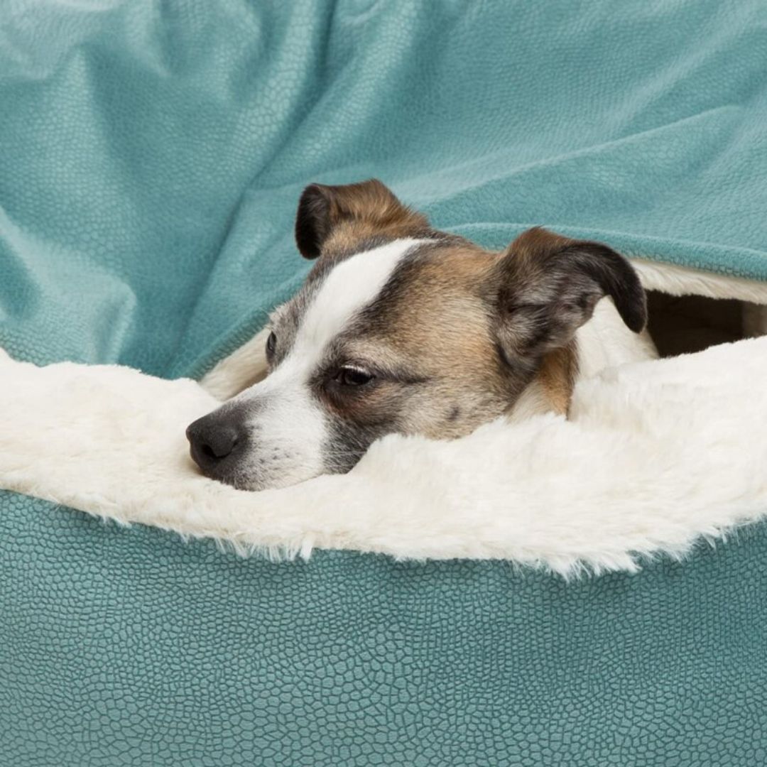 Hunden Przytulna Jaskinia - SnuggleNest-Szary-S (50cm)-Trend Polska