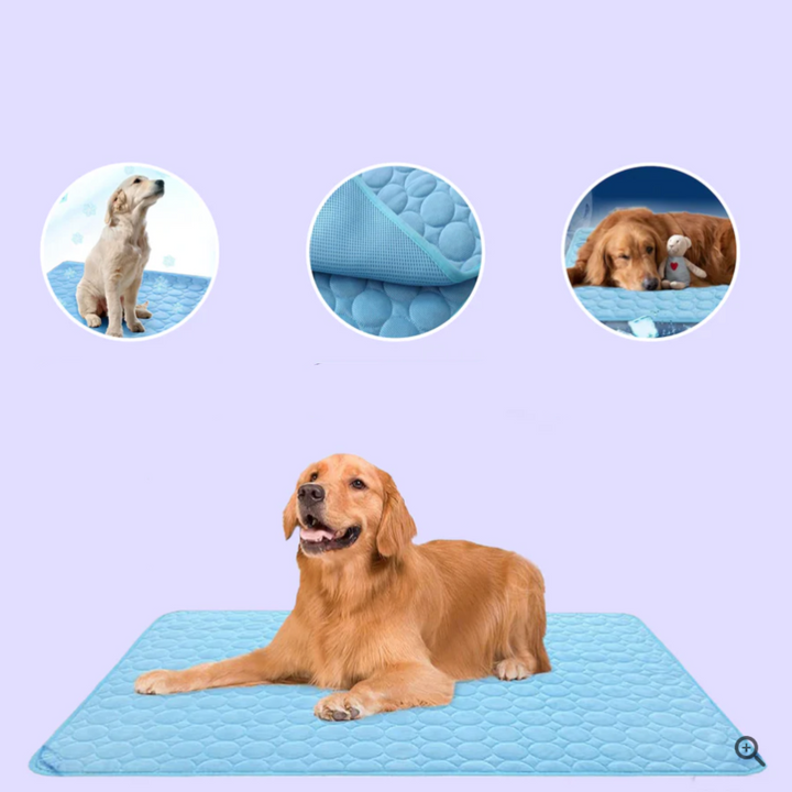 Innowacyjna mata chłodząca dla psów (4x moc chłodzenia) - ChillComfort-Jasnoniebieski-XS-Trend Polska