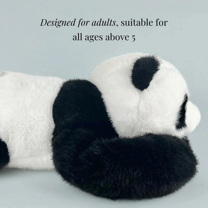 Panda widziana z boku, leży na jasnoszarym tle, z długim czarnym ramieniem wyciągniętym pod głową; napis o wieku użytkowników. 6