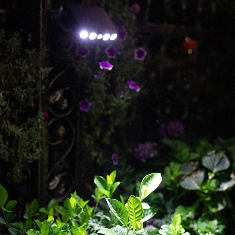 Lampa solarna z czujnikiem ruchu – Lumina