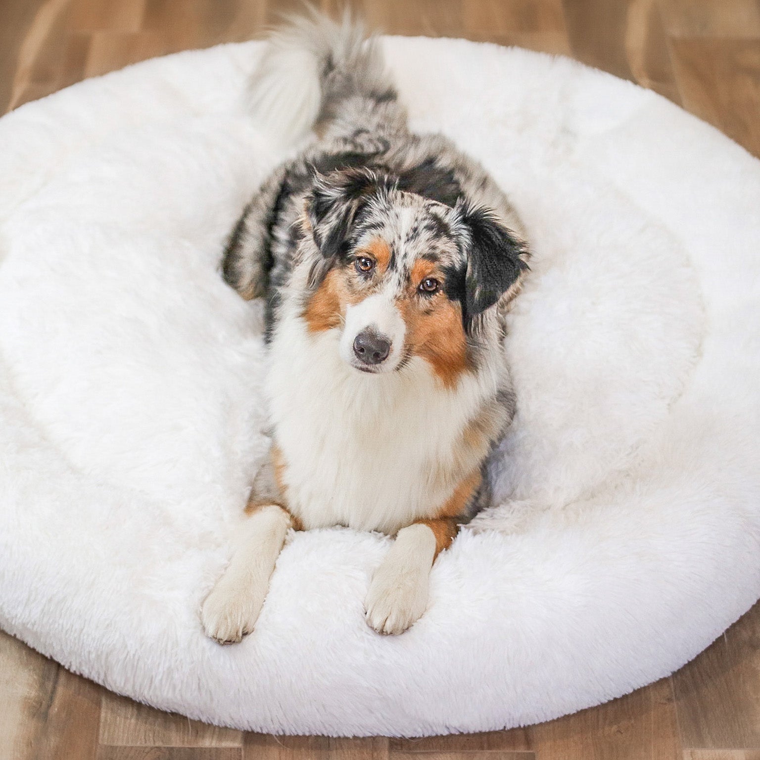 Łóżko dla psa Fluffy Plus - Oryginał-Biały-XXS - 50cm-Trend Polska