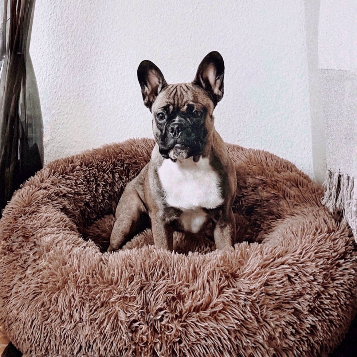 Łóżko dla psa Fluffy Plus - Oryginał-Brązowy-XXS - 50cm-Trend Polska