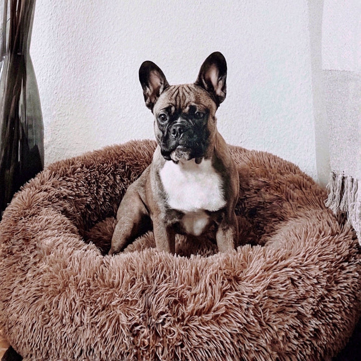 Łóżko dla psa Fluffy Plus - Oryginał-Brązowy-XXS - 50cm-Trend Polska