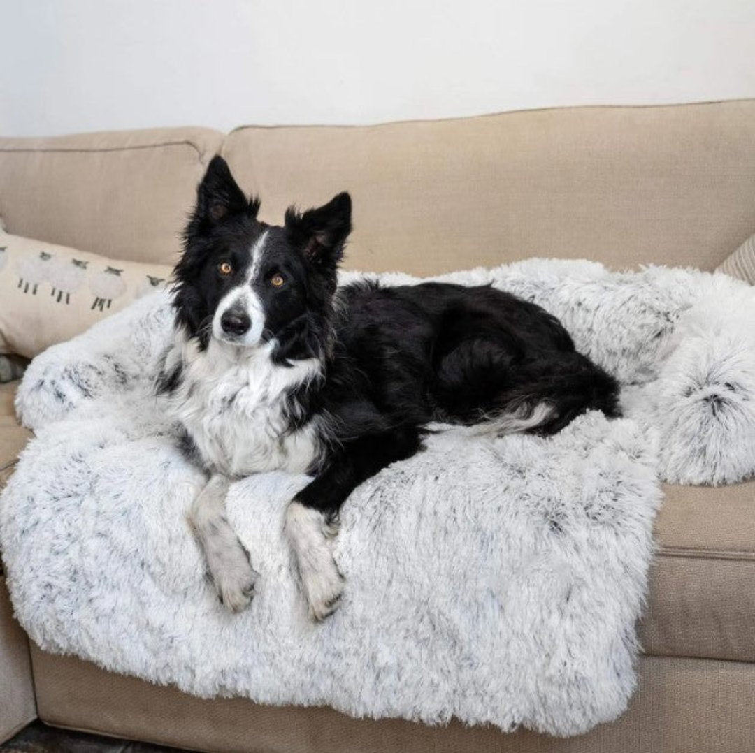 Luksusowa sofa dla psa - PawLounge-Szary-S (90x75x15 cm)-Nie można prać-Trend Polska
