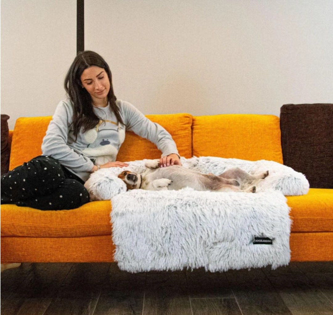 Luksusowa sofa dla psa - PawLounge-Szary-S (90x75x15 cm)-Nie można prać-Trend Polska