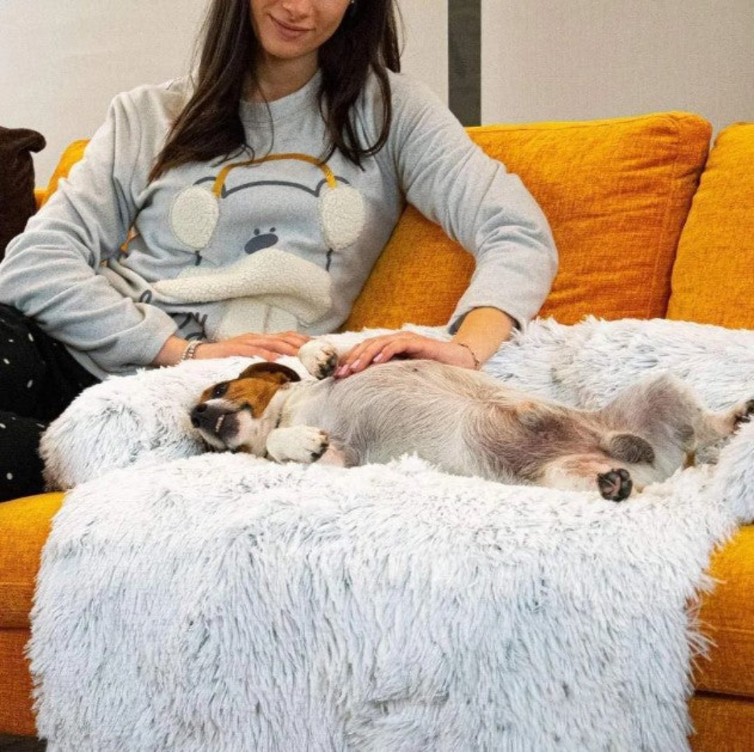 Luksusowa sofa dla psa - PawLounge-Szary-S (90x75x15 cm)-Nie można prać-Trend Polska