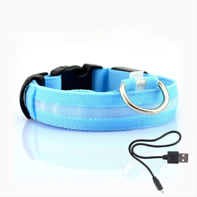 Obroża dla psa z oświetleniem LED - GlowCollar-Niebieski-XS-Trend Polska