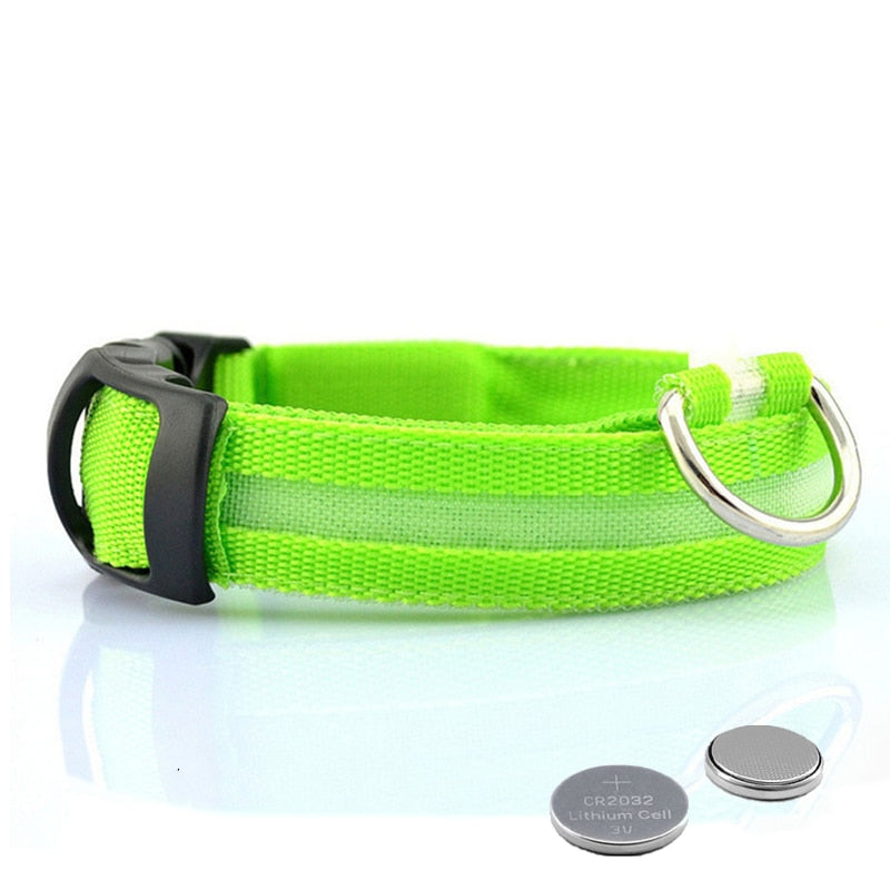 Obroża dla psa z oświetleniem LED - GlowCollar-Zielony-XS-Trend Polska