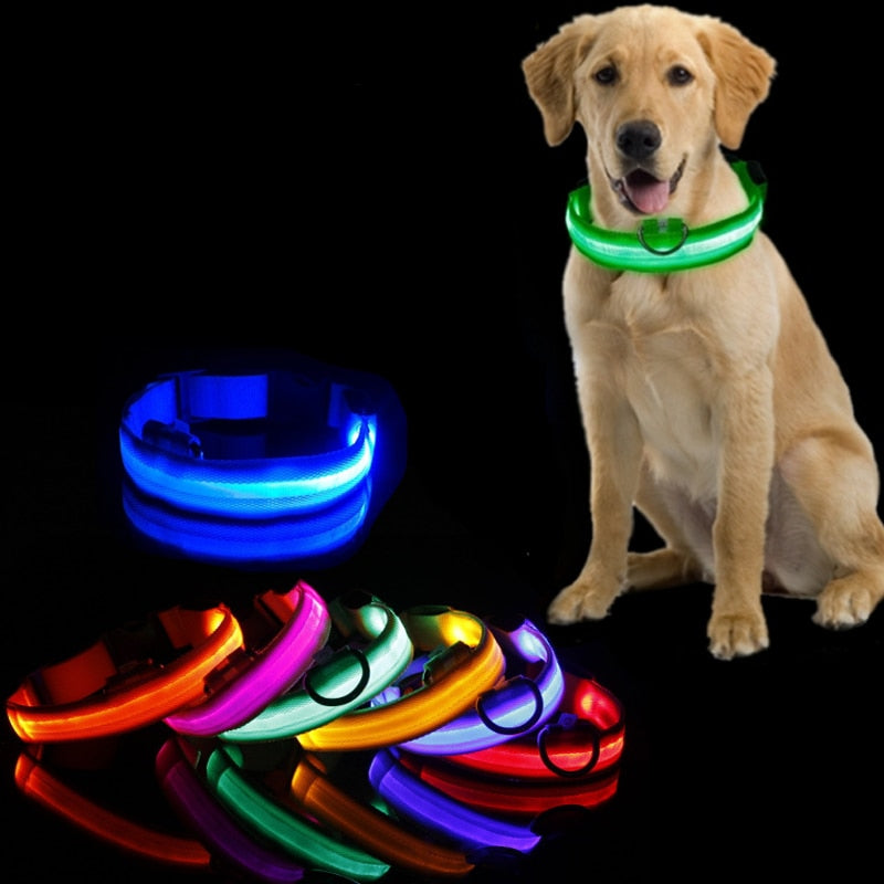Obroża dla psa z oświetleniem LED - GlowCollar-Żółty-XS-Trend Polska