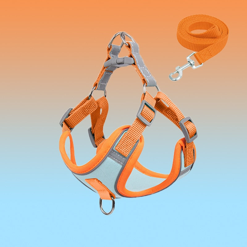 Odblaskowa Szelki dla Szczeniąt - BrightPaw-Niebe Set-S(2.5-4kg)-Trend Polska