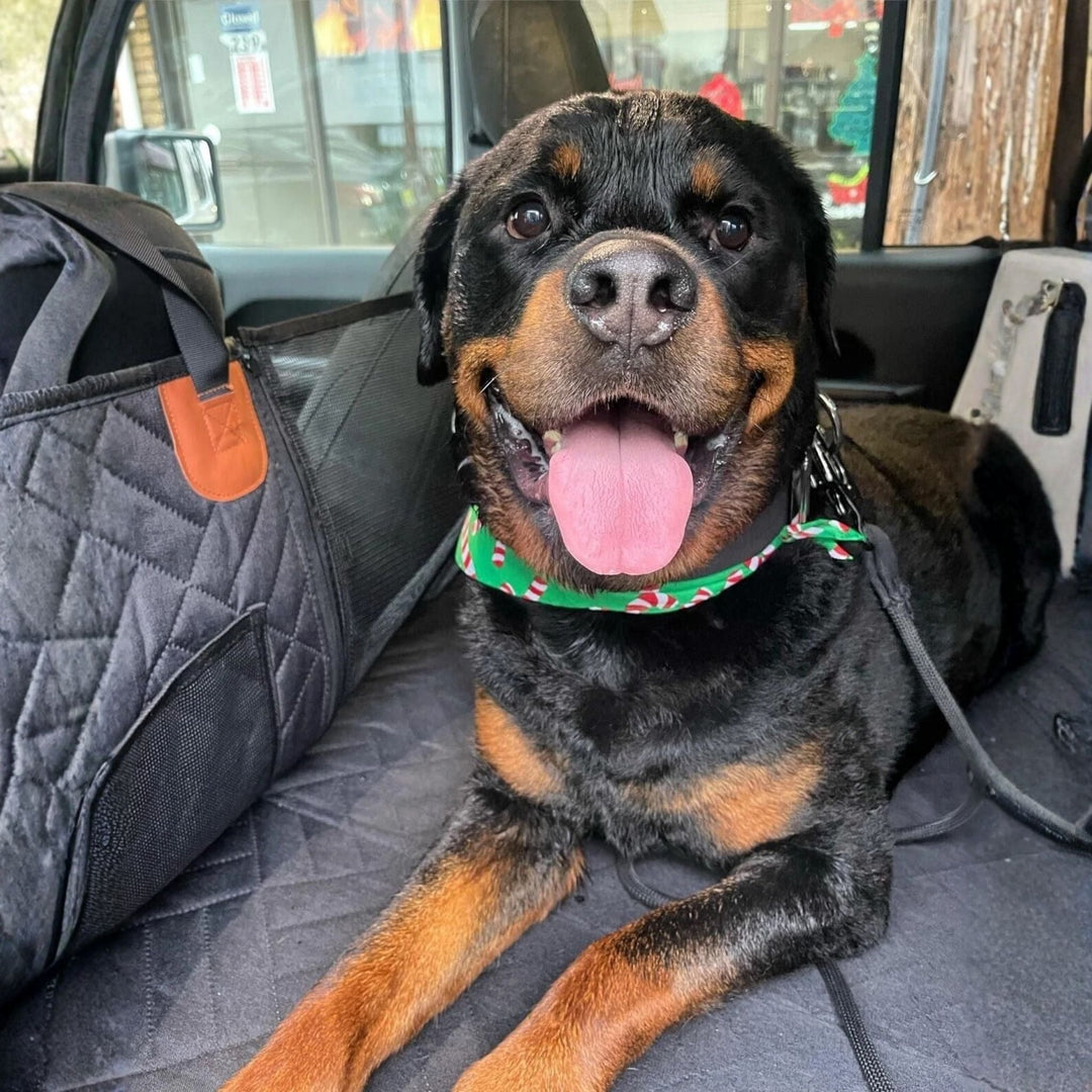 Uśmiechnięty rottweiler z zieloną chustką na szyi leży na czarnej macie w samochodzie obok pikowanej bocznej ścianki z siatką. 3