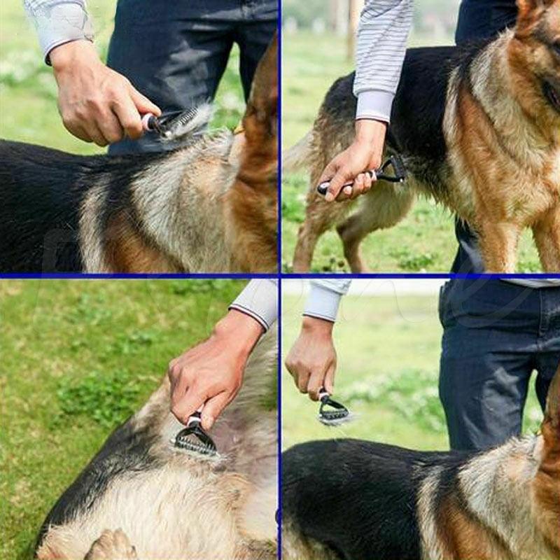 Podwójna szczotka do usuwania sierści dla zwierząt - SmoothGroom-Niebieski-Trend Polska