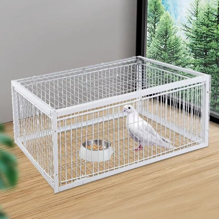 Przyjazna dla zwierząt pułapka na ptaki z zabezpieczeniem przed odrzutem – BirdSafe Trap-2 Wejścia-Trend Polska