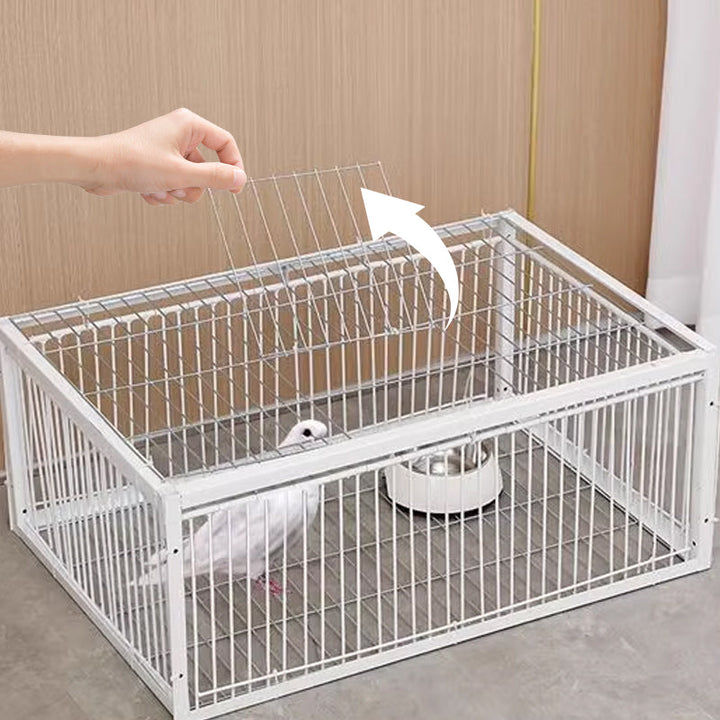 Przyjazna dla zwierząt pułapka na ptaki z zabezpieczeniem przed odrzutem – BirdSafe Trap-2 Wejścia-Trend Polska